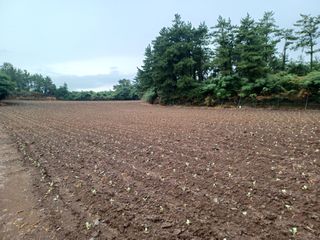 농사꾼님의 O학년 △반 이세요? · 참여글 작성글 사진