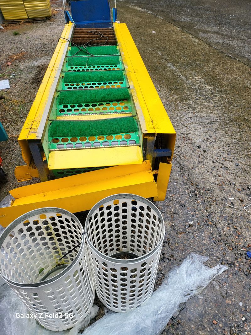 최도윤님의 장터 판매 상품 [대추 ,토마토.매실,과실선별기 판매합니다 .] 첨부 사진