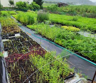 약초원 김종군님의 O학년 △반 이세요? · 참여글 작성글 사진