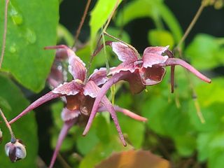 상촌사과농부님의 O학년 △반 이세요? · 참여글 작성글 사진