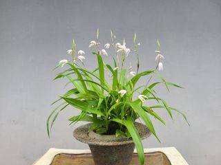 상촌사과농부님의 O학년 △반 이세요? · 참여글 작성글 사진