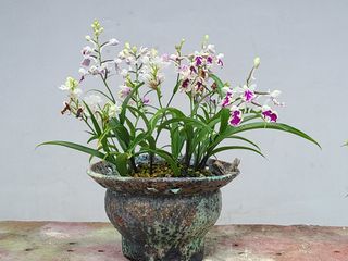 상촌사과농부님의 O학년 △반 이세요? · 참여글 작성글 사진