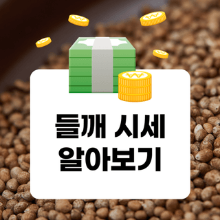 팜모닝님의 들깨 · 자유게시판 작성글 사진