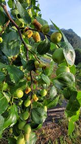 팜모닝 자유주제·자유게시판 게시글 이미지