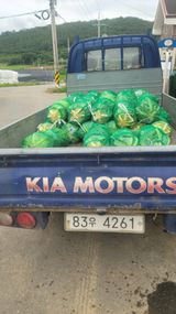 팜모닝 O학년 △반 이세요?·참여글 게시글 이미지