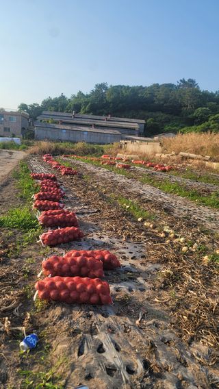 박정석님의 O학년 △반 이세요? · 참여글 작성글 사진