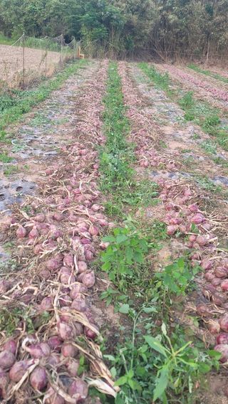 박정석님의 O학년 △반 이세요? · 참여글 작성글 사진