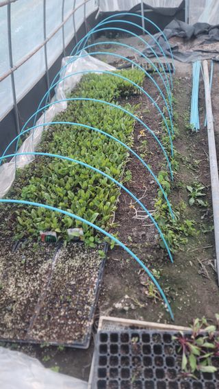 박정석님의 O학년 △반 이세요? · 참여글 작성글 사진