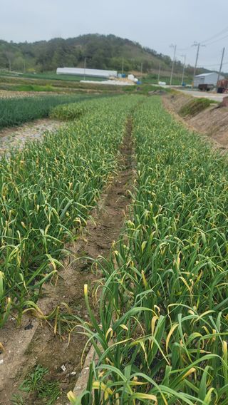 박정석님의 O학년 △반 이세요? · 참여글 작성글 사진