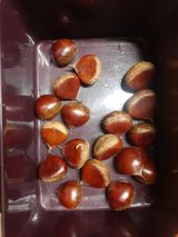 팜모닝 자유주제·자유게시판 게시글 이미지