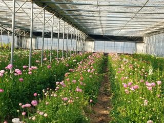 김해농부허외순님의 O학년 △반 이세요? · 참여글 작성글 사진