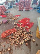 팜모닝 양파·영농일지 게시글 이미지