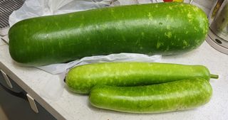 ♡5도2촌pys♡님의 자유주제 · 자유게시판 작성글 사진