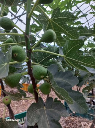 알 수 없음님의 O학년 △반 이세요? · 참여글 작성글 사진