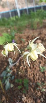 팜모닝 O학년 △반 이세요?·참여글 게시글 이미지