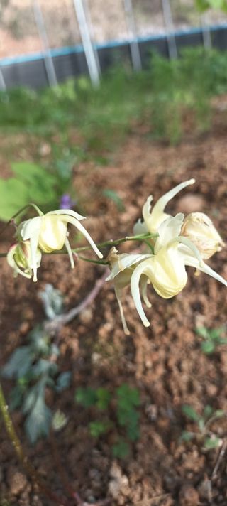 김광국님의 O학년 △반 이세요? · 참여글 작성글 사진