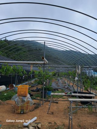 김광국님의 O학년 △반 이세요? · 참여글 작성글 사진