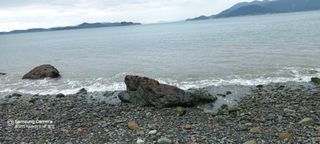 김광국님의 O학년 △반 이세요? · 참여글 작성글 사진