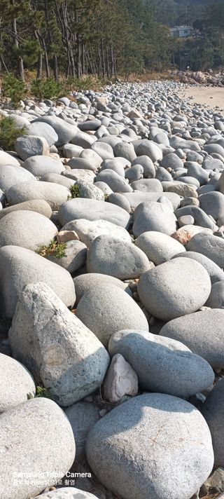 김광국님의 O학년 △반 이세요? · 참여글 작성글 사진