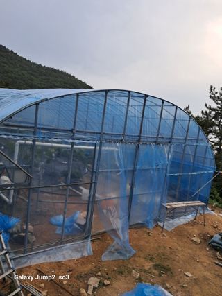 김광국님의 O학년 △반 이세요? · 참여글 작성글 사진