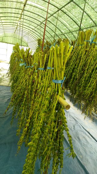 임곡농장김향중님의 O학년 △반 이세요? · 참여글 작성글 사진