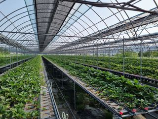 알 수 없음님의 고추 · 일상 작성글 사진