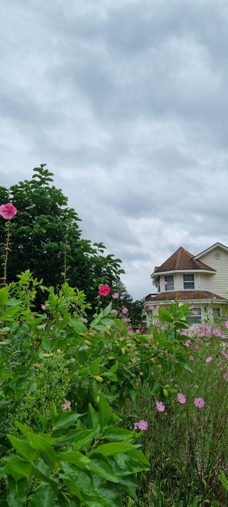 최영호님의 O학년 △반 이세요? · 참여글 작성글 사진