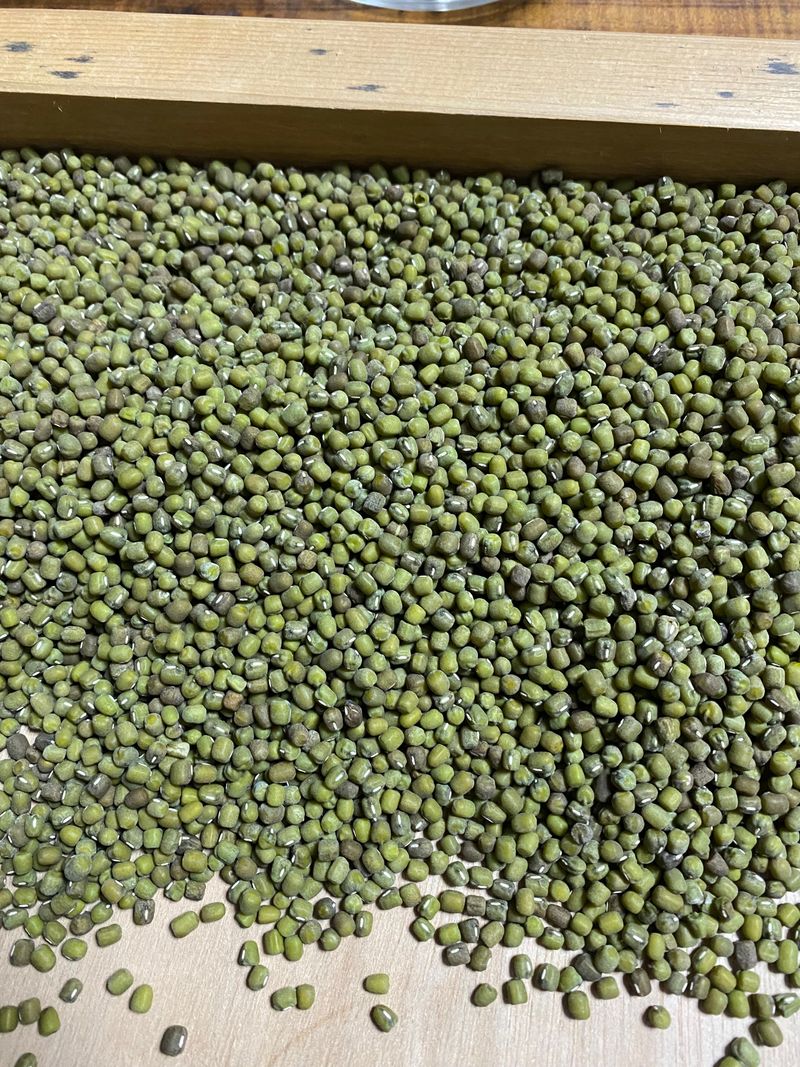 장터 상품 [10키로] 썸네일