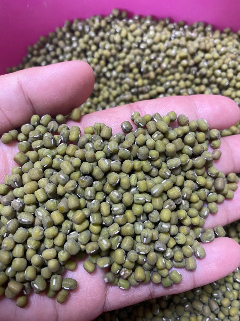 박정원님의 장터 판매 상품 [10키로] 첨부 사진