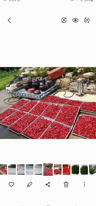 정 미라님의 O학년 △반 이세요? · 참여글 작성글 사진