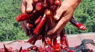 정 미라님의 O학년 △반 이세요? · 참여글 작성글 사진