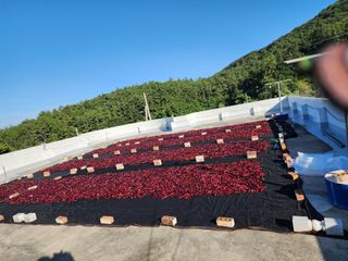 정 미라님의 O학년 △반 이세요? · 참여글 작성글 사진