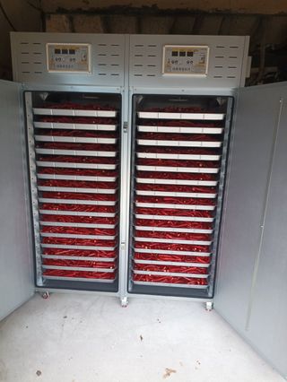 꽃순이네님의 고추 · 수확 작성글 사진