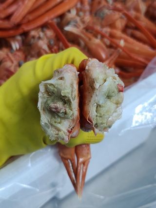 프룻하늬님의 작성글 사진