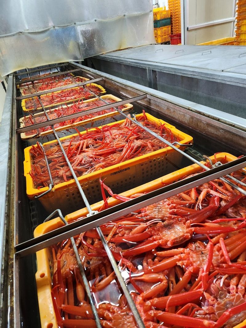 프룻하늬님의 장터 판매 상품 [동해 연지홍게(자숙) 3kg ] 첨부 사진