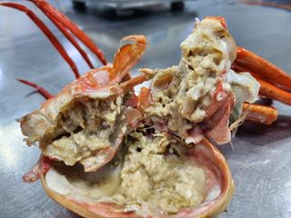 프룻하늬님의 작성글 사진