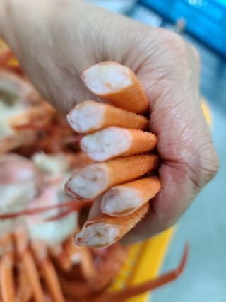 프룻하늬님의 작성글 사진