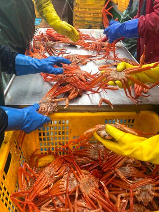 프룻하늬님의 작성글 사진