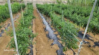 이미경님의 자유주제 · 자유게시판 작성글 사진