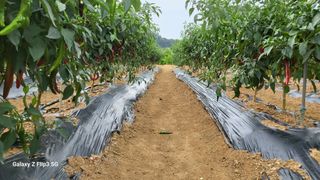 이미경님의 자유주제 · 자유게시판 작성글 사진