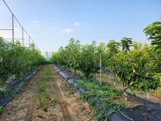 채효정님의 O학년 △반 이세요? · 참여글 작성글 사진