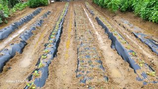 이미경님의 자유주제 · 자유게시판 작성글 사진