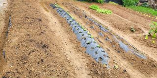 이미경님의 자유주제 · 자유게시판 작성글 사진