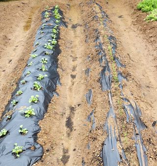 이미경님의 자유주제 · 자유게시판 작성글 사진