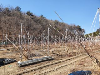 농부님의 O학년 △반 이세요? · 참여글 작성글 사진