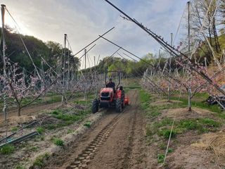 농부님의 O학년 △반 이세요? · 참여글 작성글 사진