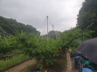 농부님의 O학년 △반 이세요? · 참여글 작성글 사진