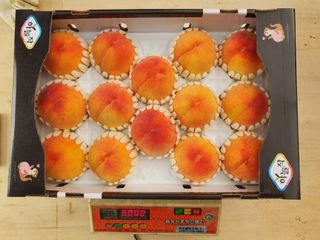 농부님의 O학년 △반 이세요? · 참여글 작성글 사진