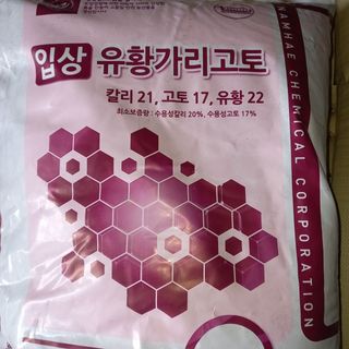 정상훈님의 마늘 · 토양준비 작성글 사진