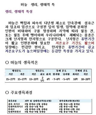 정상훈님의 마늘 · 토양준비 작성글 사진